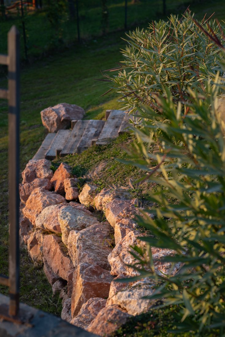 Le rocce fra le piante