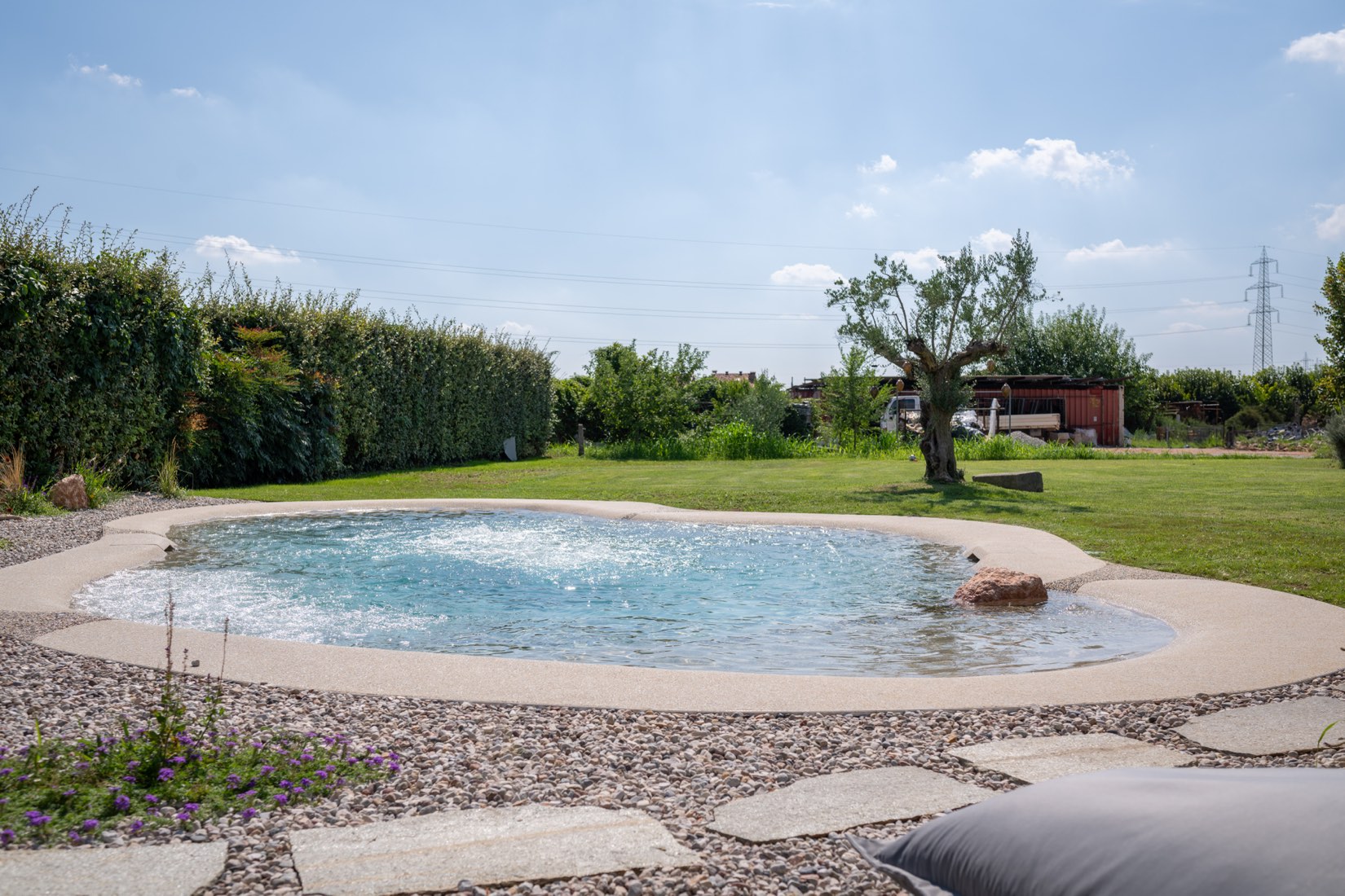 Piscina naturale nel prato, con l'ulivo sullo sfondo
